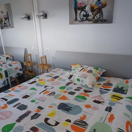 T3 Vue Rhune Appartement *